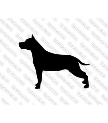 Amerikiečių Stafordšyro terjeras