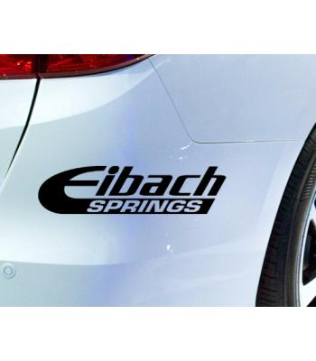 Eibach springs