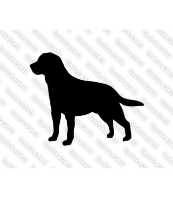 Labradoro retriveris