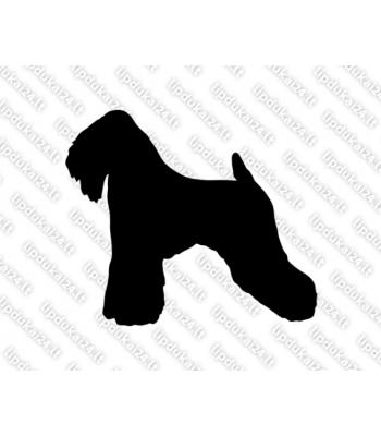 Minkštaplaukis kvietinis terjeras