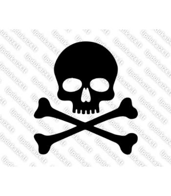 Kaukolė su kaulais 1