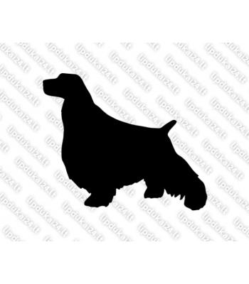 Anglų springerspanielis