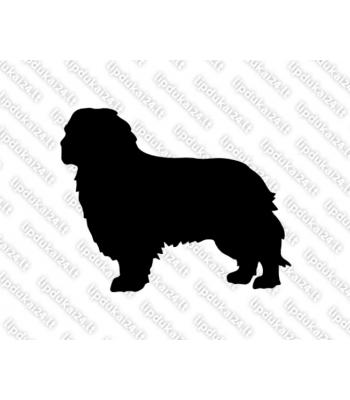 Kavalieriaus karaliaus Karolio spanielis