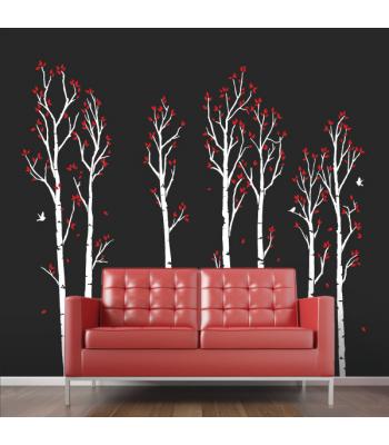 Jaunų beržų miškas