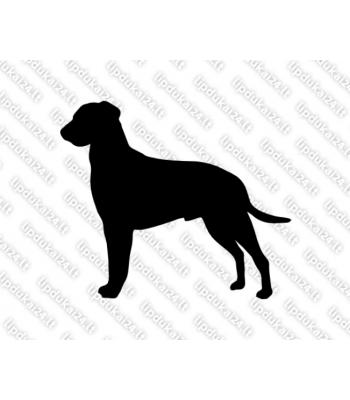 Garbanotas retriveris