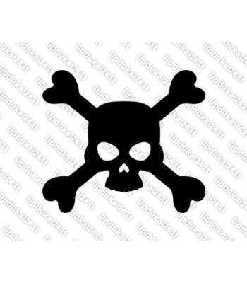 Kaukolė su kaulais 19