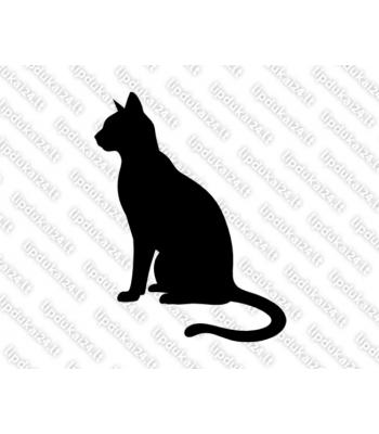 Katės siluetas 2