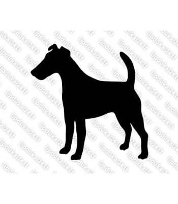 Trumpaplaukis foksterjeras