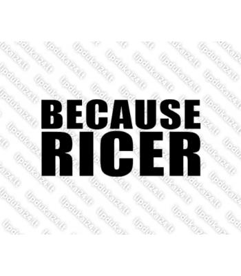 Because Ricer