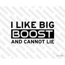 Lipdukas - I like big boost