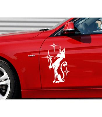 Katinas ir žvaigždės