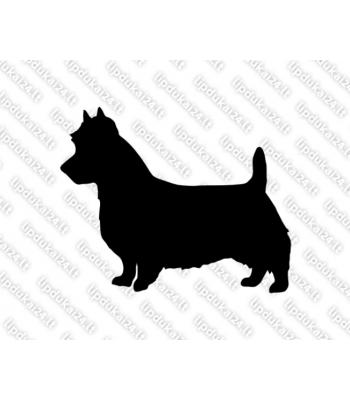 Australijos terjeras