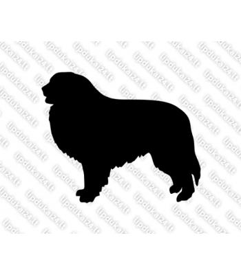 Pirėnų kalnų šuo