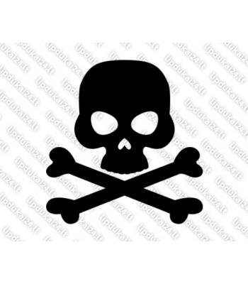 Kaukolė su kaulais 8