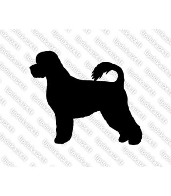 Portugalų vandens šuo