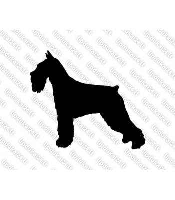 Standartinis šnauceris