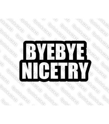 Bye Bye Nice Try