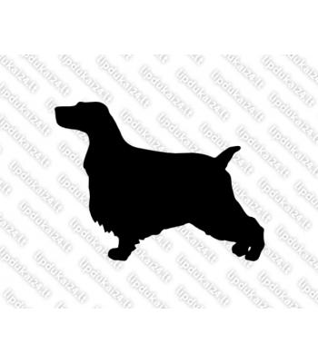 Anglų kokerspanielis