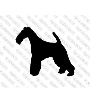 Šiurkščiaplaukis foksterjeras