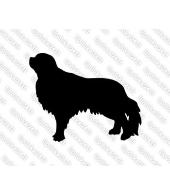 Karaliaus Karolio spanielis