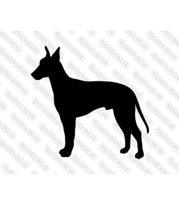 Mančesterio terjeras