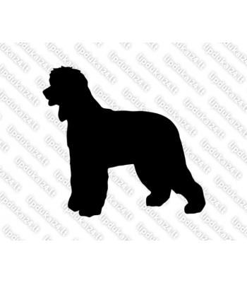 Airijos vandens spanielis