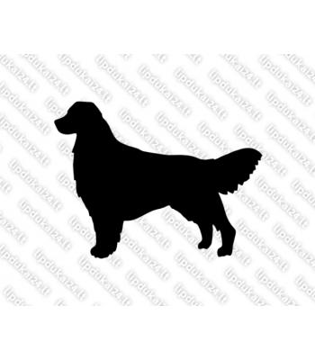 Auksaspalvis retriveris