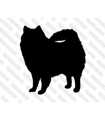 Amerikos eskimų šuo