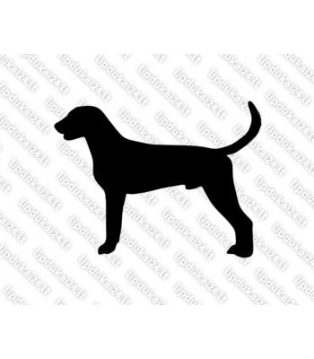 Amerikos fokshaundas