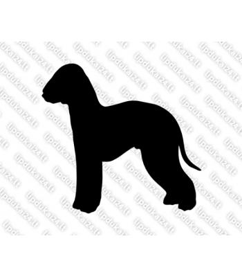 Bedlingtono terjeras