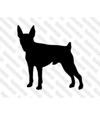 Amerikiečių toiterjeras