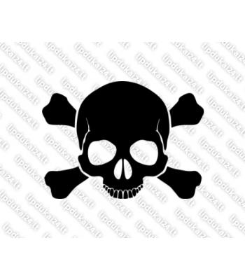 Kaukolė su kaulais 6