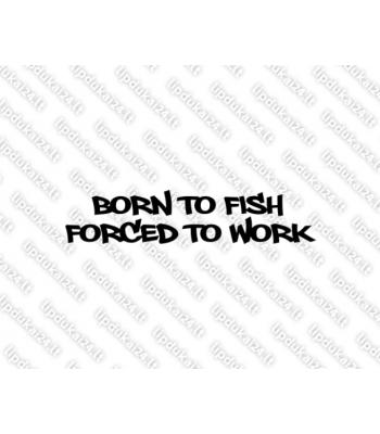 Born to fish